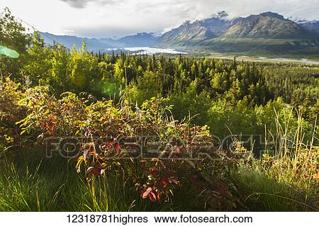 Stock Photograph - Matanuska Glacier, viewed from Glenn Highway near Sheep Mountain; Alaska, United States of America. Fotosearch