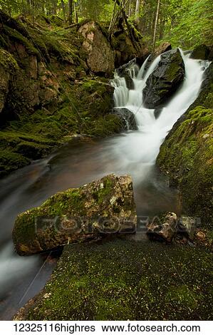 Stock Photograph - Mosses and big boulders at a waterfall on Horse Pasture Brook; Wentworth Valley, Nova Scotia, Canada. Fotosearch