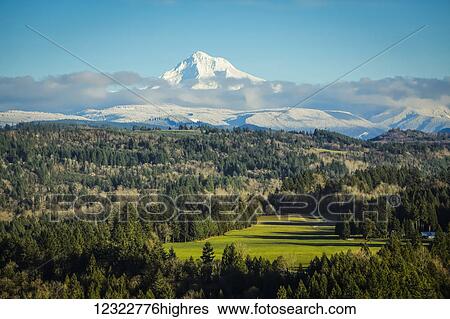 Mount Hood from Sandy Lookout; Sandy, Oregon, United States of America View Large Photo Image Stock Photograph - Mount Hood from Sandy Lookout; Sandy, Oregon, United States of America. Fotosearch