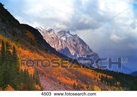 Mountain slope in fall View Large Photo Image Stock Image - Mountain slope in fall. Fotosearch