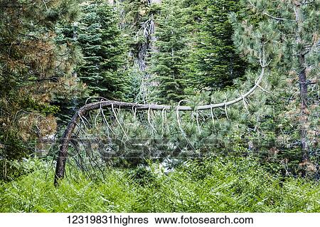 Nature View Large Photo Image Stock Photograph - Nature. Fotosearch