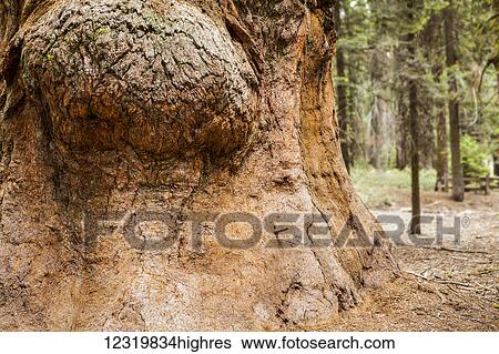 Nature View Large Photo Image Stock Photograph - Nature. Fotosearch