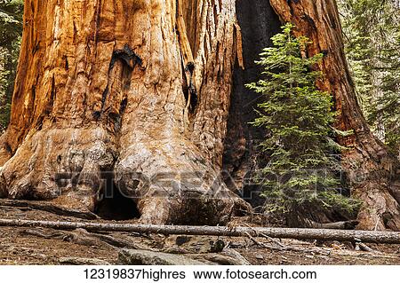 Nature View Large Photo Image Stock Photograph - Nature. Fotosearch