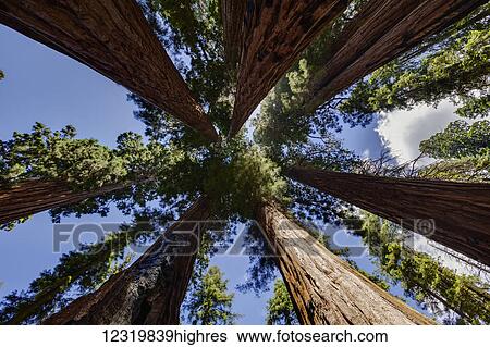 Nature View Large Photo Image Stock Photograph - Nature. Fotosearch