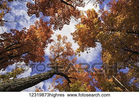 Stock Photograph - Nature. Fotosearch