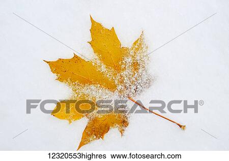 Nature View Large Photo Image Stock Photograph - Nature. Fotosearch