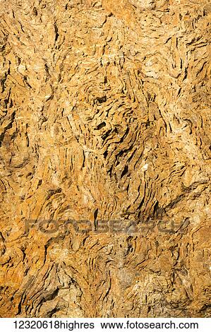 Nature View Large Photo Image Stock Photograph - Nature. Fotosearch