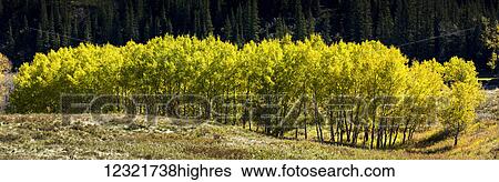 Stock Photograph - Nature. Fotosearch