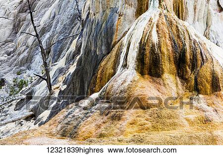 Stock Photograph - Nature. Fotosearch