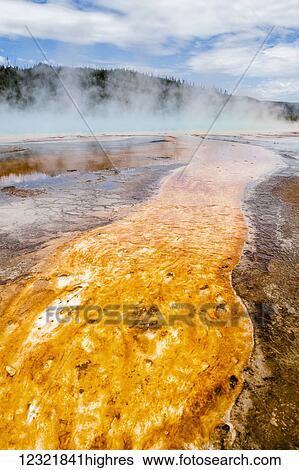 Stock Photograph - Nature. Fotosearch