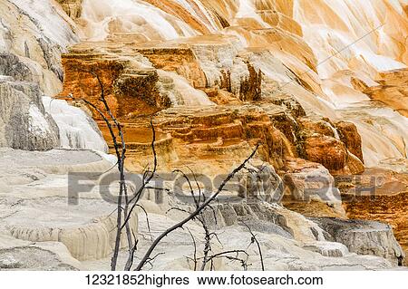 Stock Photograph - Nature. Fotosearch