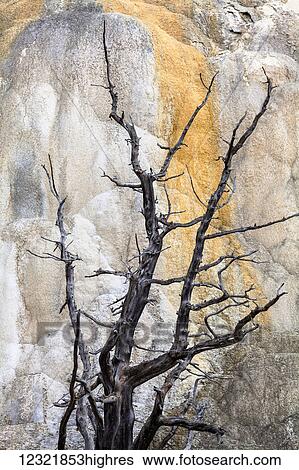 Stock Photograph - Nature. Fotosearch