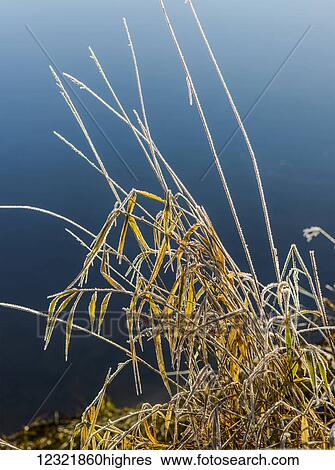 Nature View Large Photo Image Stock Photograph - Nature. Fotosearch