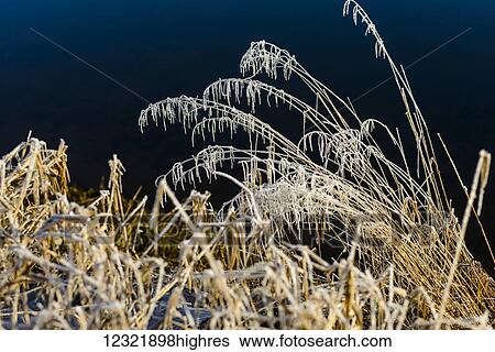 Nature View Large Photo Image Stock Photograph - Nature. Fotosearch