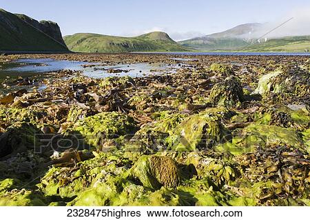 Nature View Large Photo Image Stock Photograph - Nature. Fotosearch