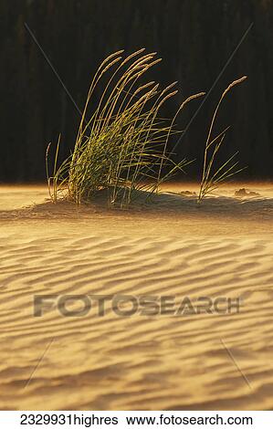 Stock Photograph - Nature. Fotosearch