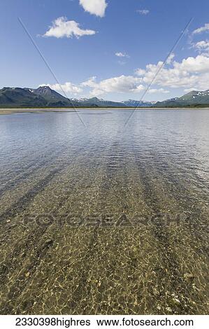 Stock Photograph - Nature. Fotosearch