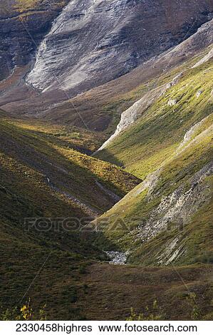 Stock Photograph - Nature. Fotosearch