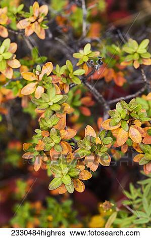 Nature View Large Photo Image Stock Photograph - Nature. Fotosearch