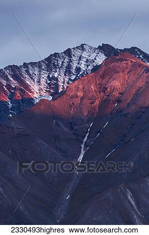 Stock Photograph - Nature. Fotosearch
