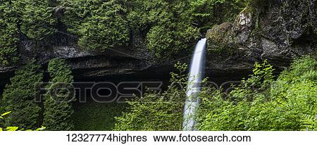 Stock Photograph - North Falls plunges into the canyon at Silver Falls State Park; Silverton, Oregon, United States of America. Fotosearch