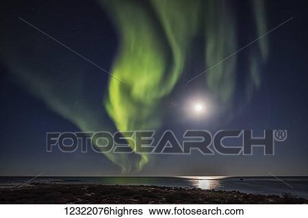 Northern Lights over Hudson Bay; Churchill, Manitoba, Canada View Large Photo Image Stock Photograph - Northern Lights over Hudson Bay; Churchill, Manitoba, Canada. Fotosearch