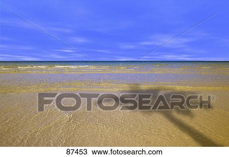 Stock Image - Ocean and small waves on beach with palm tree shadow. Fotosearch