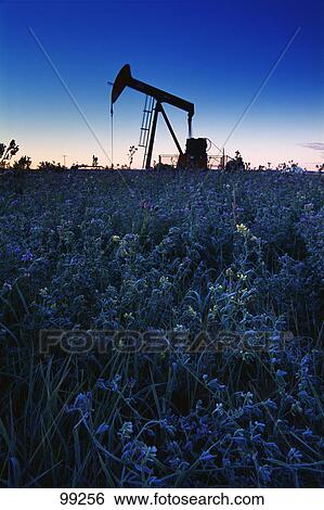 Oil pump in field at sunset View Large Photo Image Stock Photograph - Oil pump in field at sunset. Fotosearch