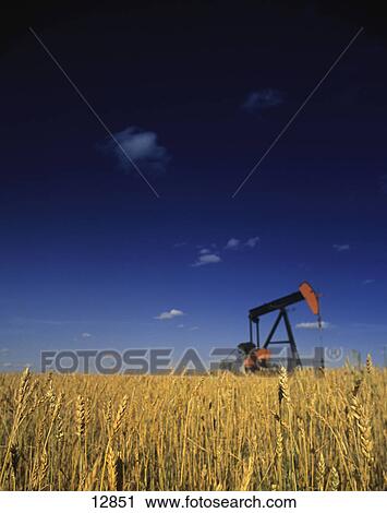 Stock Image - Oil pump in wheat field. Fotosearch