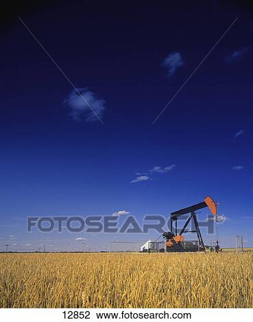 Oil pump in wheat field View Large Photo Image Stock Image - Oil pump in wheat field. Fotosearch