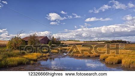 Stock Photograph - Old barn on the edge of a salt marsh; Merigomish, Nova Scotia, Canada. Fotosearch