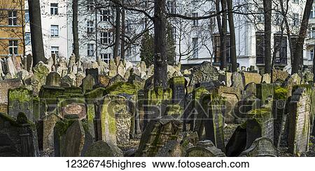 Old Jewish cemetery; Prague, Czechia View Large Photo Image Stock Photograph - Old Jewish cemetery; Prague, Czechia. Fotosearch