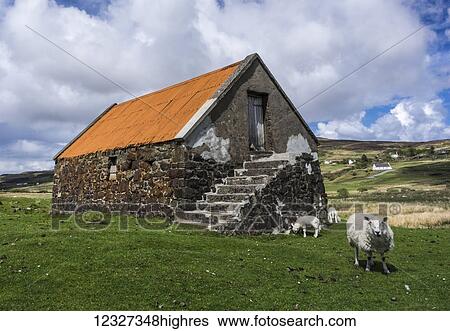 Old stone barn with orange roof and grazing sheep; Isle of Skye, Scotland View Large Photo Image Stock Photograph - Old stone barn with orange roof and grazing sheep; Isle of Skye, Scotland. Fotosearch