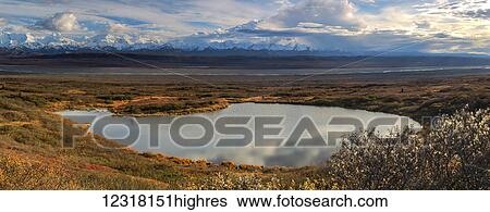Pa0ramic of Denali from along the park road, Denali National Park; Alaska, United States of America View Large Photo Image Stock Photograph - Pa0ramic of Denali from along the park road, Denali National Park; Alaska, United States of America. Fotosearch
