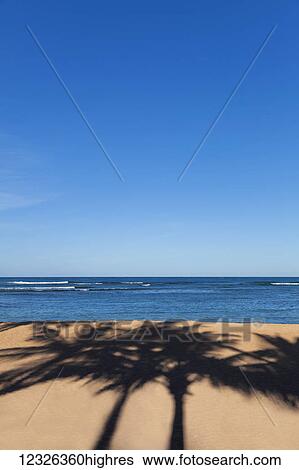 Stock Photograph - Palm tree shadows on the sand at the beach on a nice clear blue sky day; Honolulu, Oahu, Hawaii, United States of America. Fotosearch