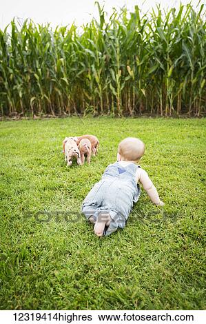 Stock Photograph - People-Babies (0-1). Fotosearch