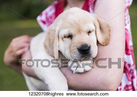 Stock Photograph - People-Children (0-9). Fotosearch