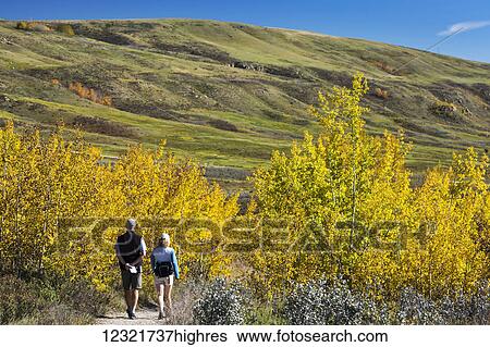 Stock Photograph - People-Couples. Fotosearch