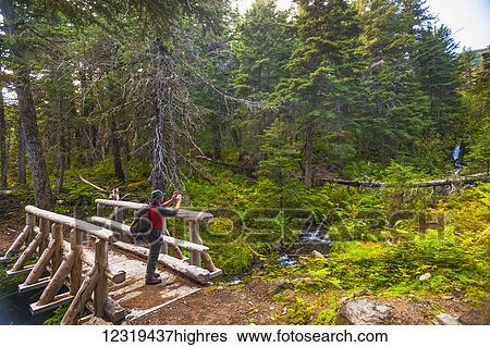 Stock Photograph - People-Middle Aged (40-60). Fotosearch