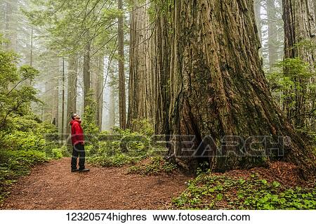 Stock Photograph - People-Middle Aged (40-60). Fotosearch