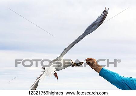 Stock Photograph - People-Middle Aged (40-60). Fotosearch