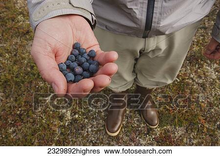 Stock Photograph - People-Middle Aged (40-60). Fotosearch