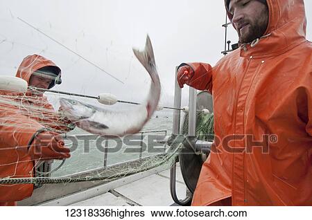 People-Occupations View Large Photo Image Stock Photograph - People-Occupations. Fotosearch