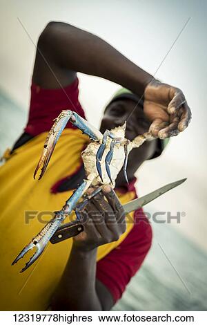People-Occupations View Large Photo Image Stock Photograph - People-Occupations. Fotosearch