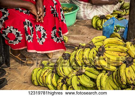 People-Occupations View Large Photo Image Stock Photograph - People-Occupations. Fotosearch