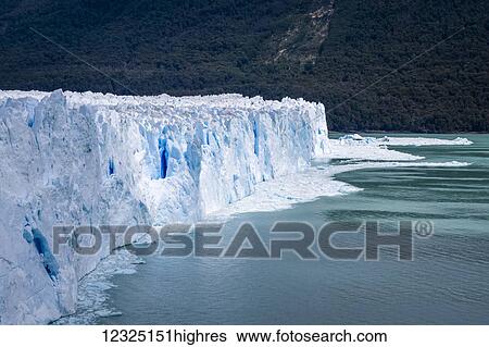 Perito Moreno Glacier in Los Glaciares National Park in Argentinian Patagonia, near El Calafate; El Calafate, Santa Cruz Province, Argentina View Large Photo Image Stock Photograph - Perito Moreno Glacier in Los Glaciares National Park in Argentinian Patagonia, near El Calafate; El Calafate, Santa Cruz Province, Argentina. Fotosearch