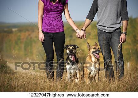 Portrait of a couple standing and holding hands with their two dogs and an autumn coloured landscape in the background; Alberta, Canada View Large Photo Image Stock Photograph - Portrait of a couple standing and holding hands with their two dogs and an autumn coloured landscape in the background; Alberta, Canada. Fotosearch