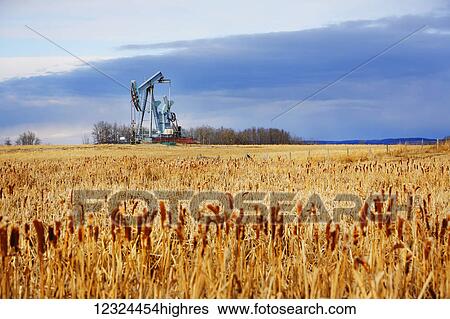 Pump Jack in a golden field in the prairies; Alberta, Canada View Large Photo Image Stock Photograph - Pump Jack in a golden field in the prairies; Alberta, Canada. Fotosearch