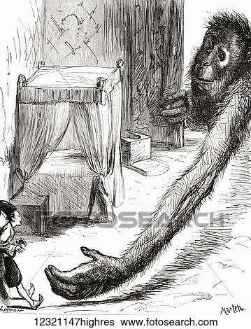 Stock Photograph - Reaching one of his paws in at the door, as a cat does when she plays with a mouse. From Gulliver's voyage to Brobdingnag. Illustration from Gullivers Travels published c. 1875. Fotosearch