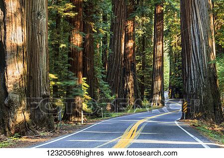 Stock Photograph - Roads. Fotosearch